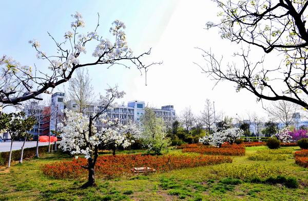 學(xué)校風(fēng)景4